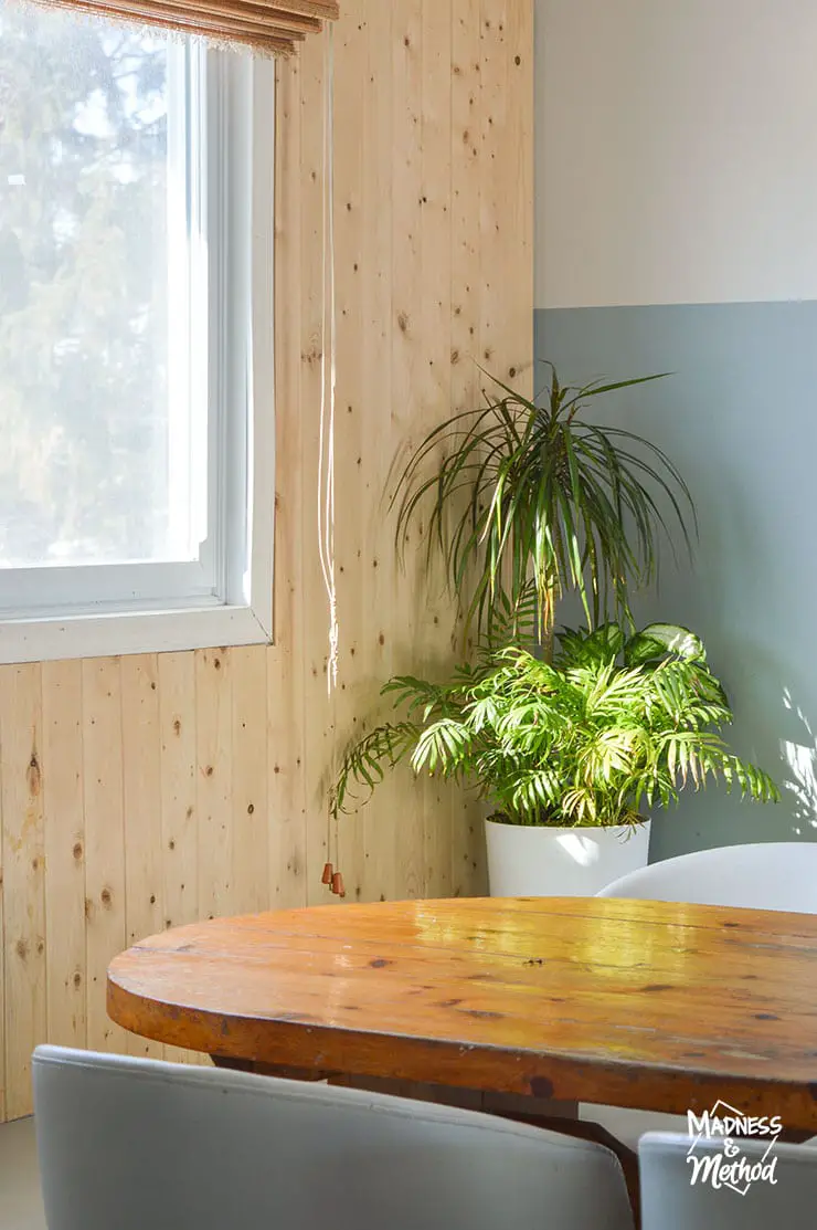 wood slat wall and plant in dining room