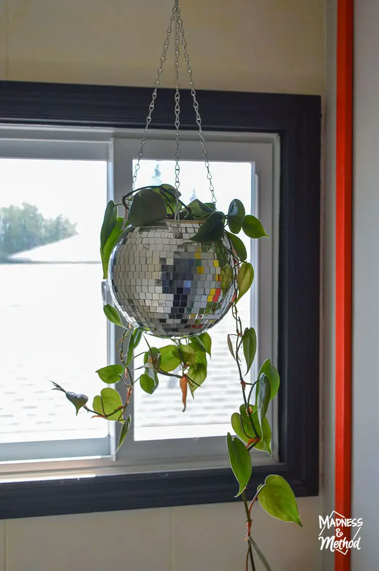 disco ball planter in front of window