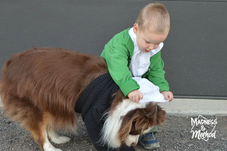 toddler and dog