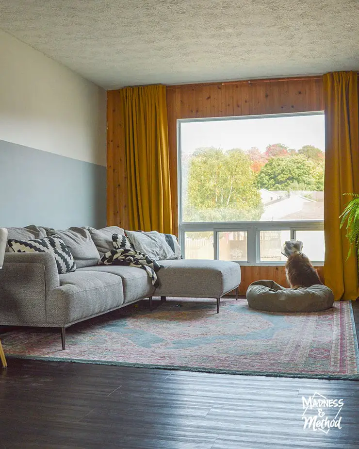 living room with large window gray couch