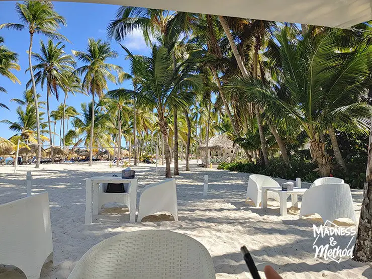 beach dining with palm trees