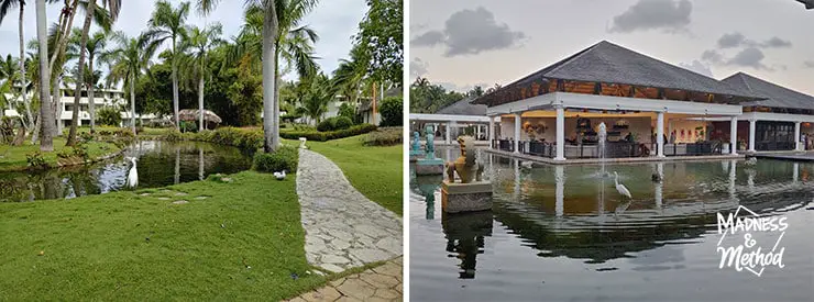 resort ponds and water