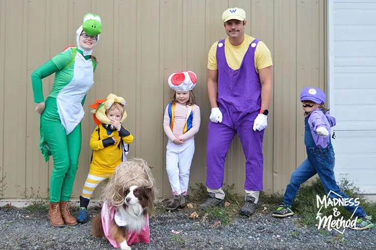 Super Mario Family Costumes