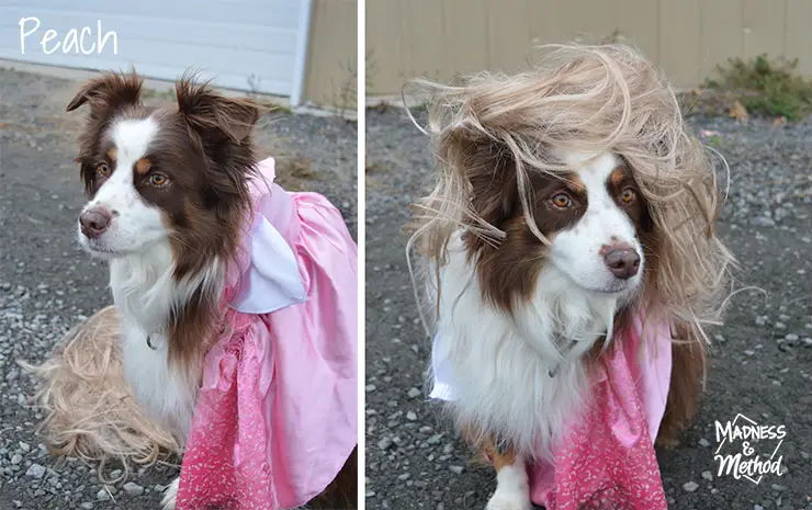 princess peach dog costume