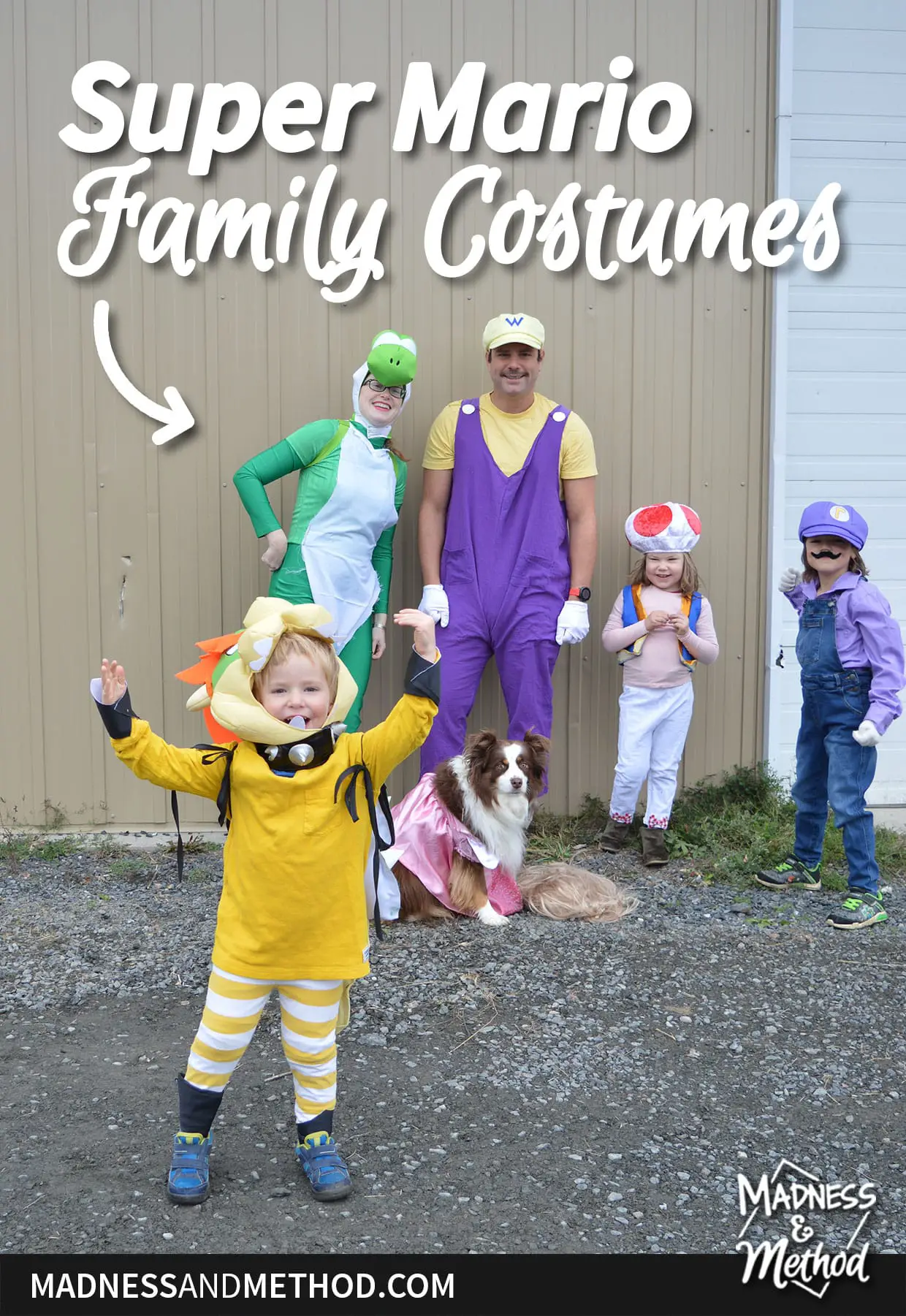 super mario family costumes