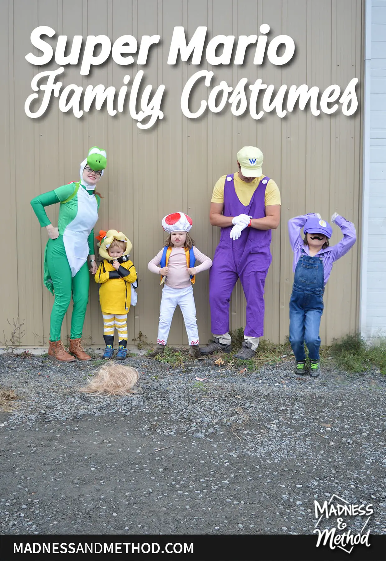 family super mario halloween costumes