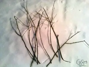 Sticks in the Snow