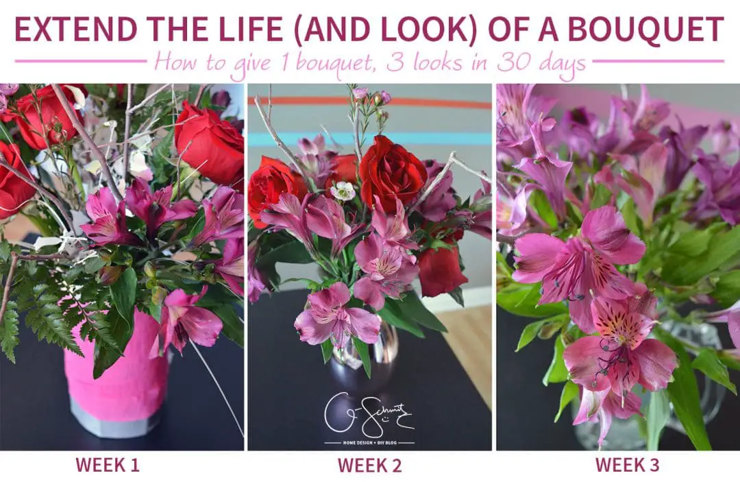 Give 1 Bouquet 3 Looks in 30 days! How to use a generic store bought bouquet and transform it with three unique looks (lasting a month!)