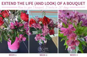 Give 1 Bouquet 3 Looks in 30 days! How to use a generic store bought bouquet and transform it with three unique looks (lasting a month!)