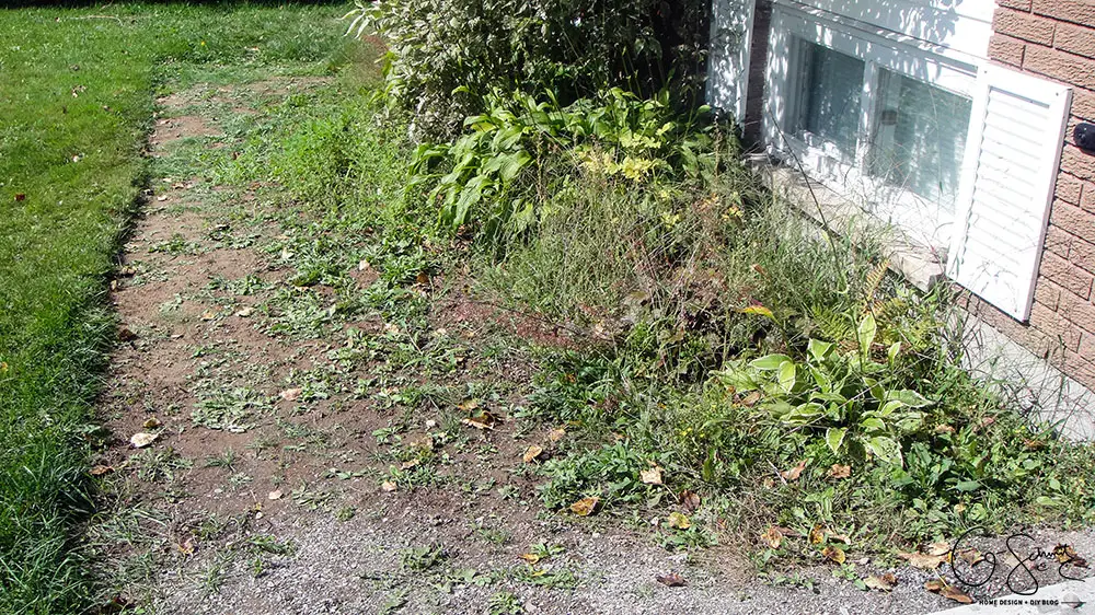 Now that the DIY concrete walkway is in, we just have to do a tiny bit more landscaping and beautification before I can complete this project walkway. Check out the great before and after photos to see all the work we did this summer! 