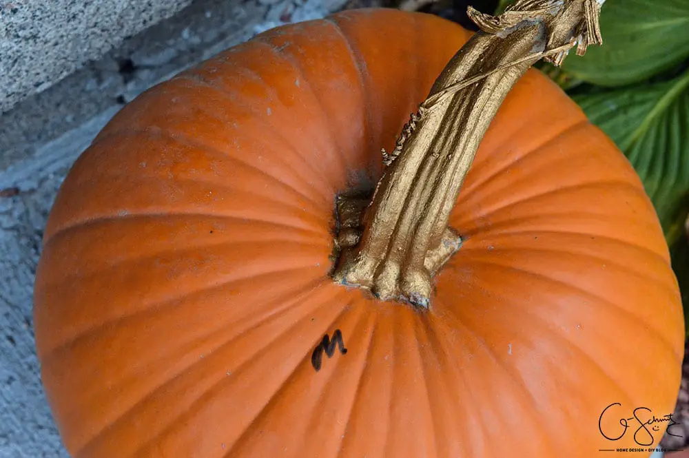 I’ve got a golden pumpkin! Part 1 is all about picking an outdoor Halloween décor theme and exploring pumpkin options. Part 2 will be coming soon :)