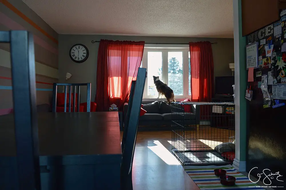 The living and dining room are two combined spaces in our house. Check out pictures of these two areas and the striped accent wall that joins them both together. 