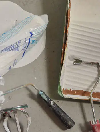 paint roller with bag and empty tray