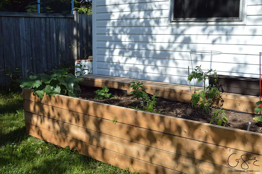 Do you plant a fruit, herb or veggie garden? Today I’m sharing what vegetables we planted in our raised garden beds and giving updates on their progress.