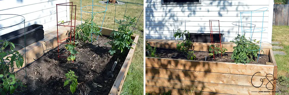 Do you plant a fruit, herb or veggie garden? Today I’m sharing what vegetables we planted in our raised garden beds and giving updates on their progress.