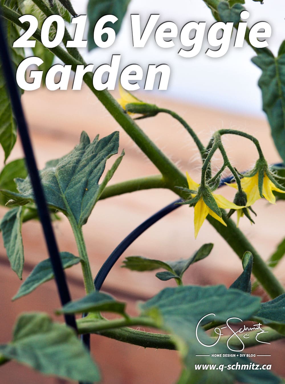 Do you plant a fruit, herb or veggie garden? Today I’m sharing what vegetables we planted in our raised garden beds and giving updates on their progress.