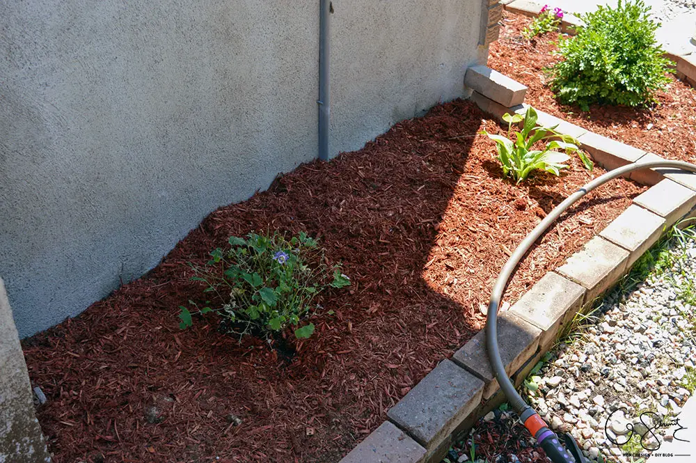 Today I'm going to show the (almost) completed sideyard landscaping, and I'm really happy that we can scratch this project off our outdoor to-do list!