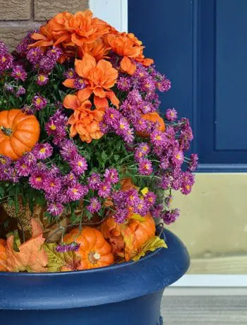 Here’s some easy DIY instruction to make a festive fall planter; with the perfect combination of fake and real décor elements to transform a plain Mum.