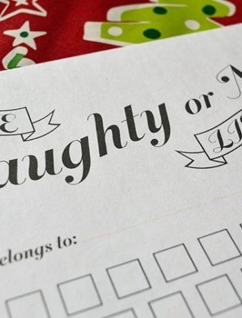 Can you believe Christmas is coming soon? This year I am starting the tradition of filling out a Naughty or Nice Christmas advent calendar. Not sure what that is? Let me explain...