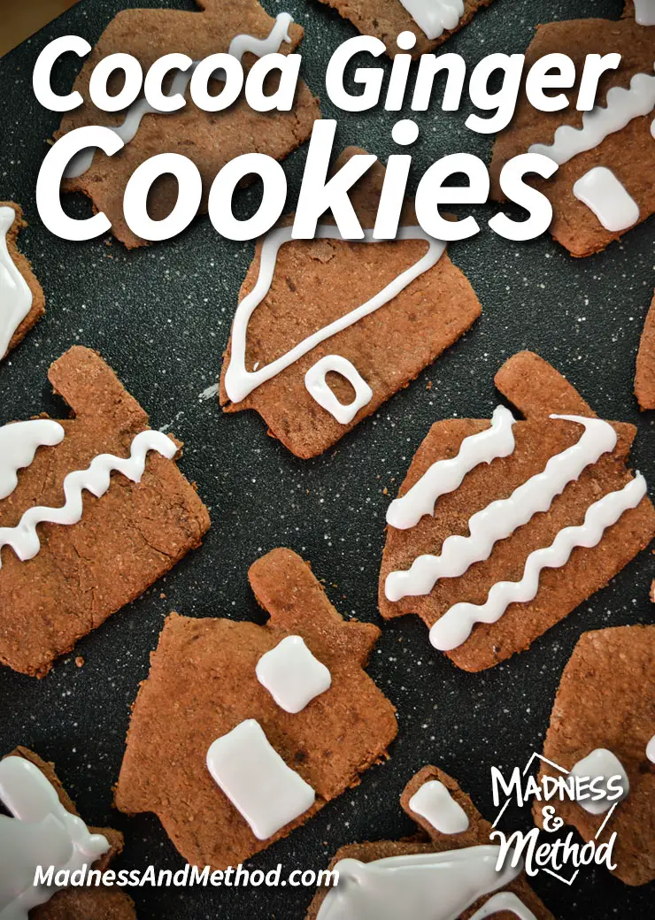 cocoa-ginger-cookies-pinterest