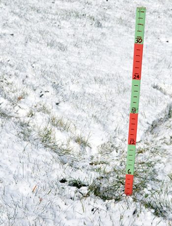 Do you live in an area that gets a lot of snow? This year I decided to make a simple snow scale to show how much snow has accumulated throughout the winter; and I'm sharing the easy (and fun) DIY so that you can make your own!