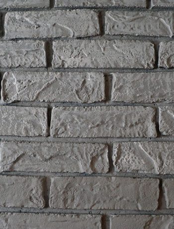 Have you ever dry brushed anything? I decided to dry brush bricks for our fireplace makeover, and I love how the bumps and ridges stand out!