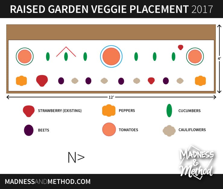 raised-garden-veggie-placement-diagram