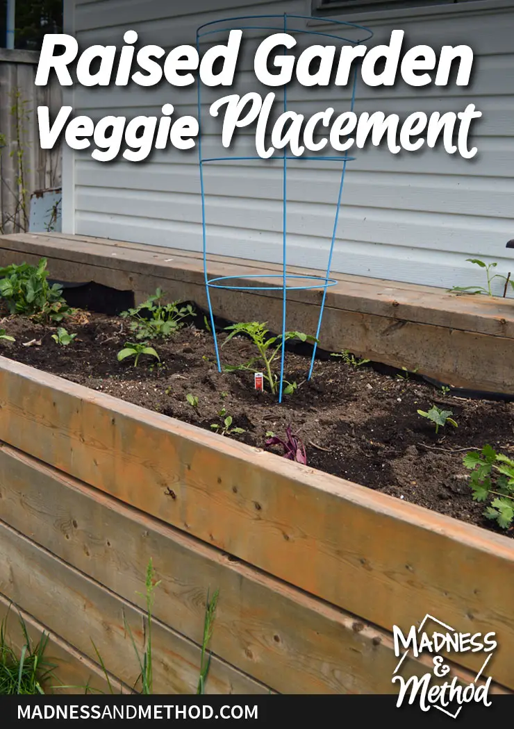 raised-garden-veggie-placement-pinterest