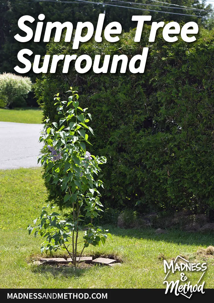 simple-tree-surround-pinterest