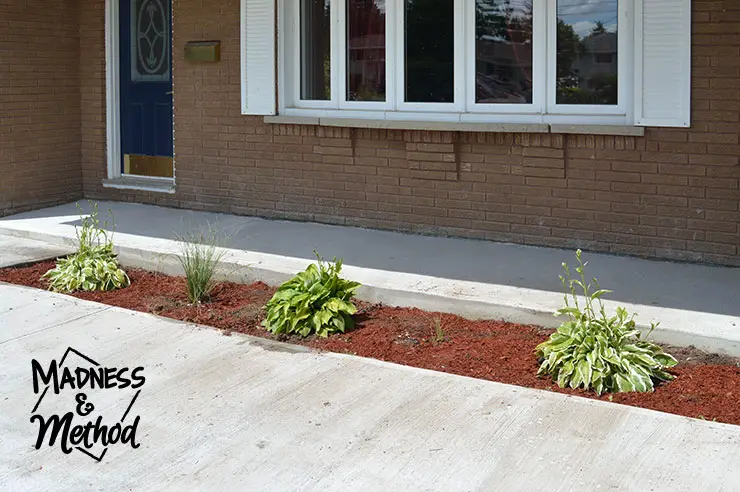 New concrete front porch with landscaping