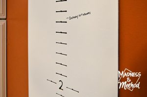 growth chart with zacharys measurements