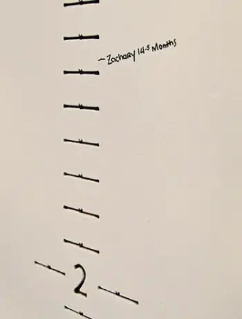 growth chart with zacharys measurements