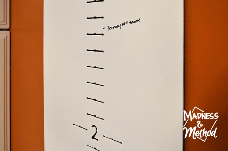 growth chart with zacharys measurements