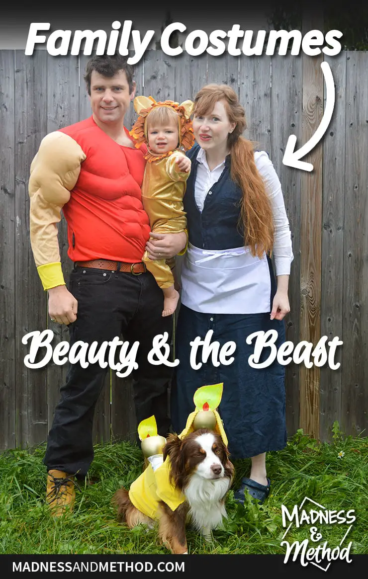 family beauty and the beast costumes graphic