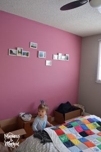 pink accent wall in gray guest bedroom