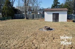 backyard in the spring