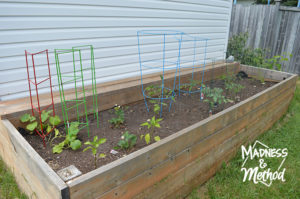 east side raised garden bed