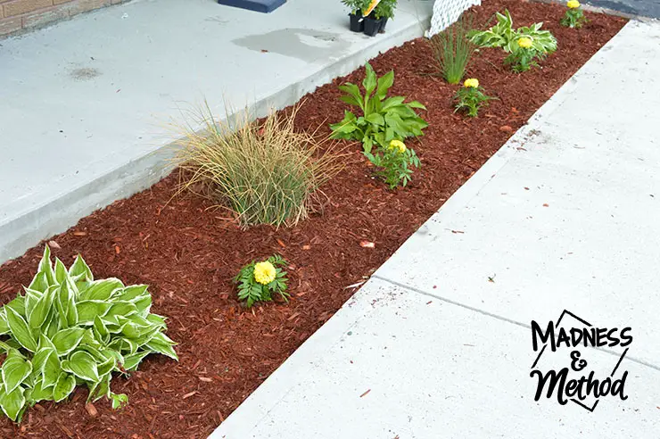 front garden with red mulch