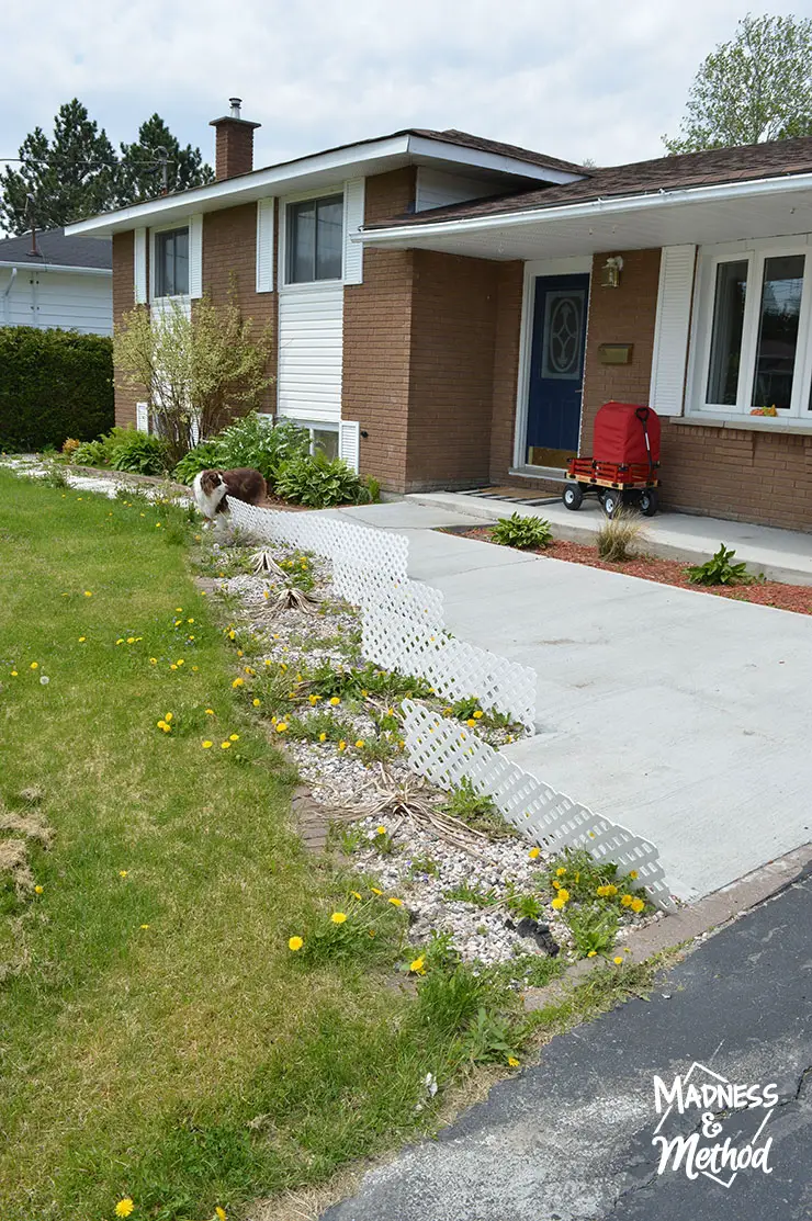 weeds taking over rock garden