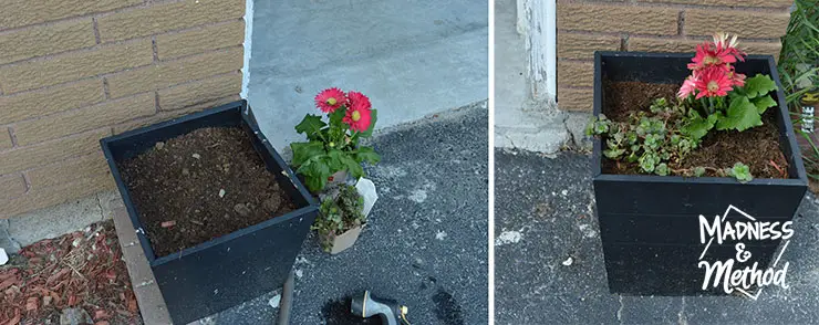 plant baskets near garage