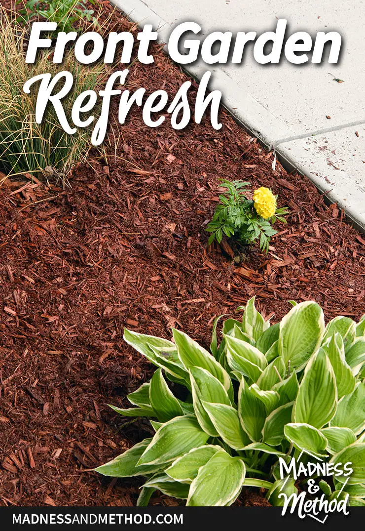 front garden planting refresh