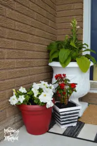 red and white front porch plants