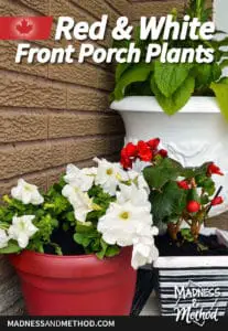 red and white front porch plants for canada day