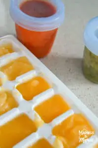homemade baby food freezing