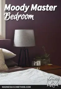 moody master bedroom reveal photo