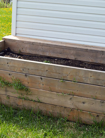 raised garden bed