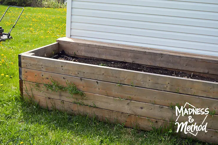 raised garden bed