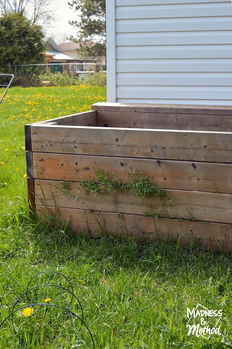 raised garden next to structure