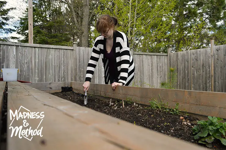 digging in raised garden bed