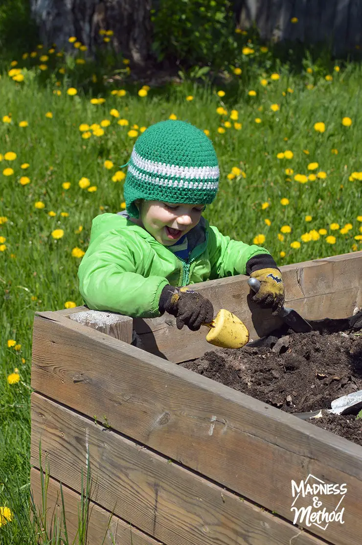 toddler in raised garden bed